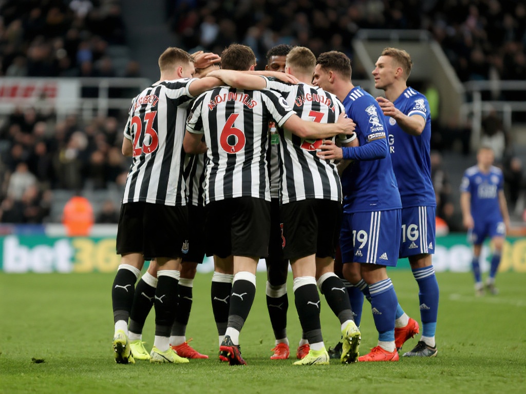 址查询平台 址查询平台