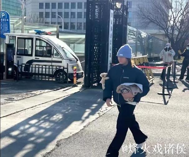 偶遇冬训婵宝：碧波里的倔强身影，与永不沉没的冠军心